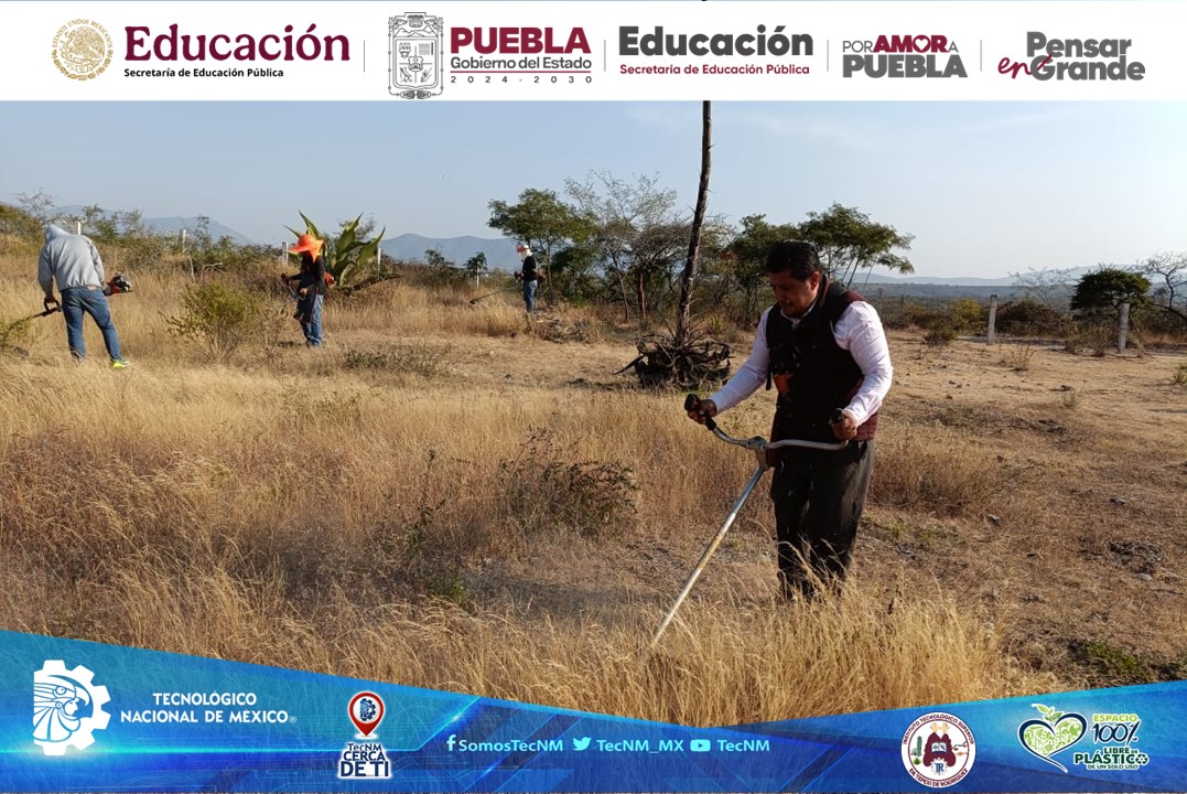 Colaboración en educación